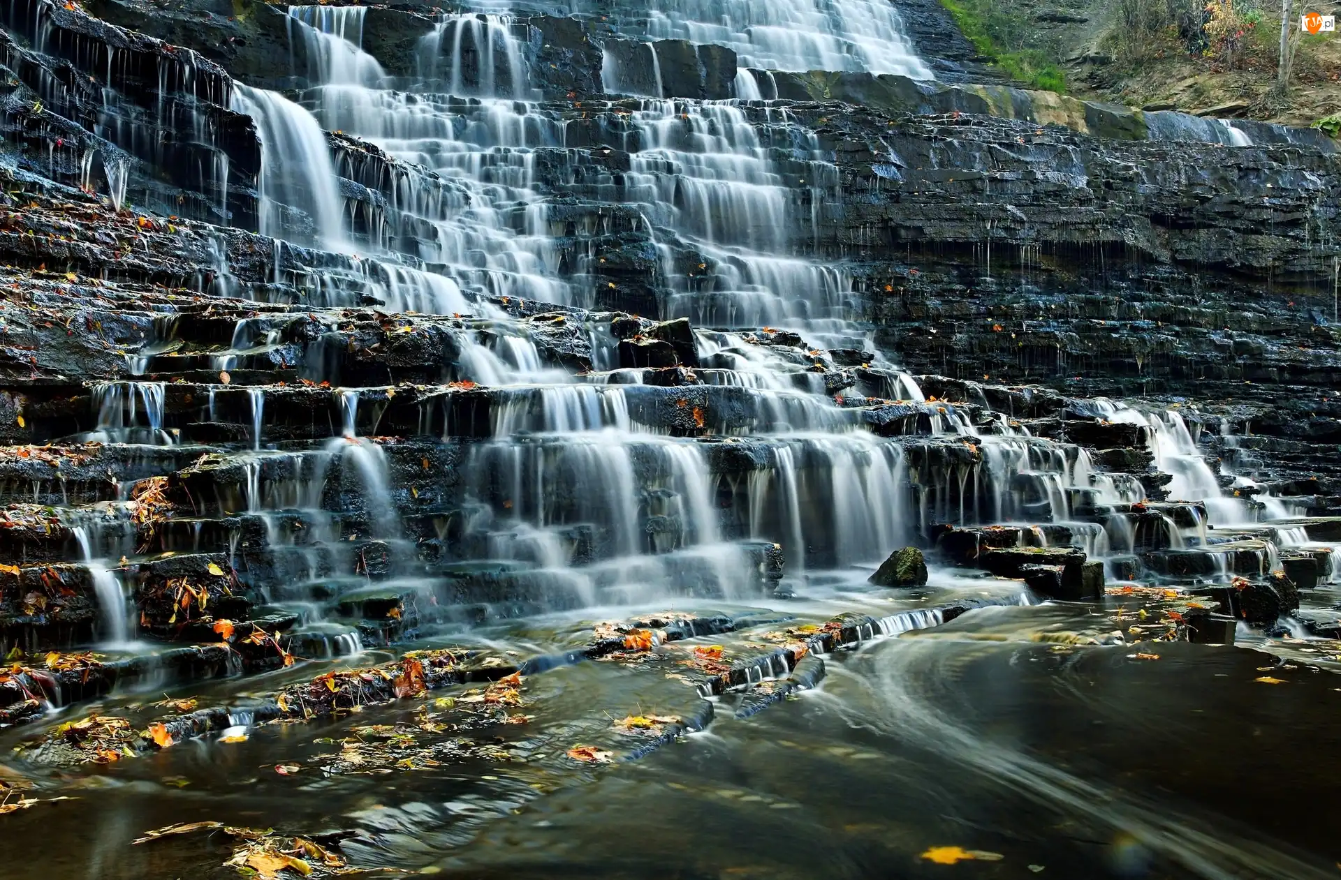 Prowincja Ontario, Hamilton, Liście, Kanada, Żółte, Skały, Wodospad Albion Falls