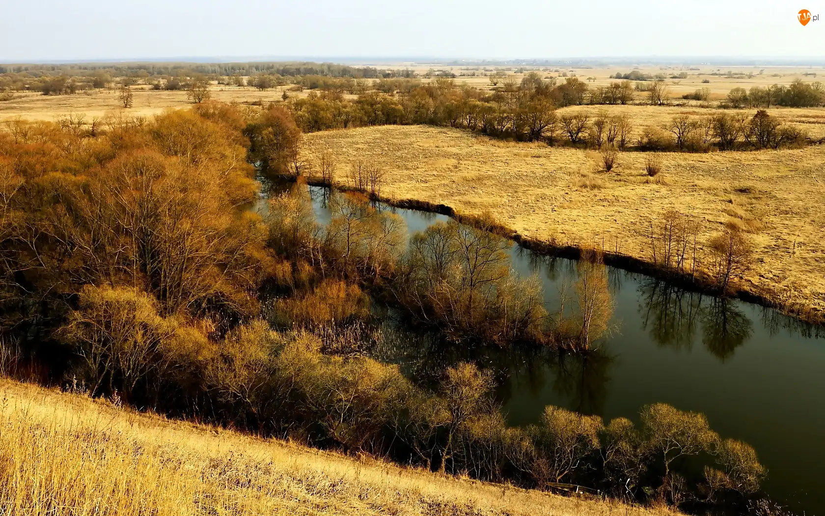 Roślinność, Rzeka, Łąki