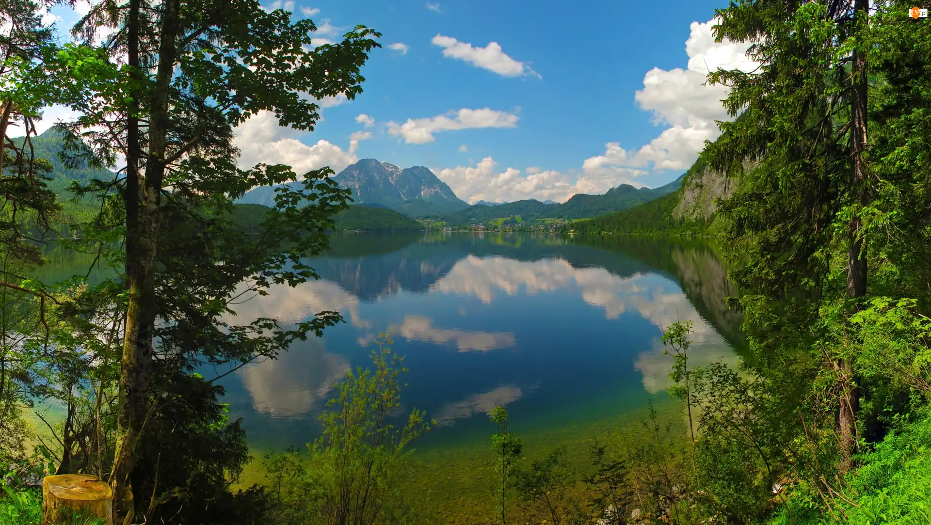 Drzewa, Góry, Jezioro
