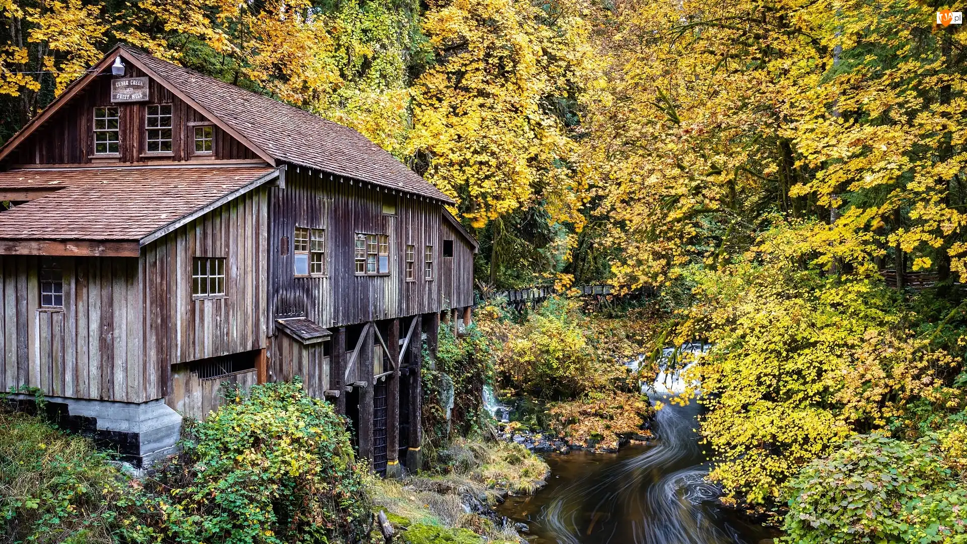 Stany Zjednoczone, Jesień, Woodland, Las, Cedar Creek Grist Mill, Młyn wodny, Lewis River, Rzeka, Drzewa, Stan Waszyngton