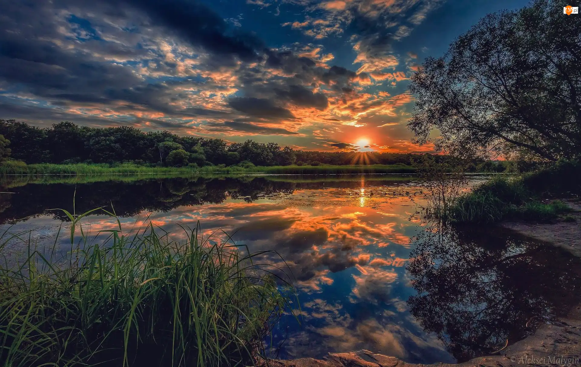 Drzewa, Zachód słońca, Jezioro, Szuwary