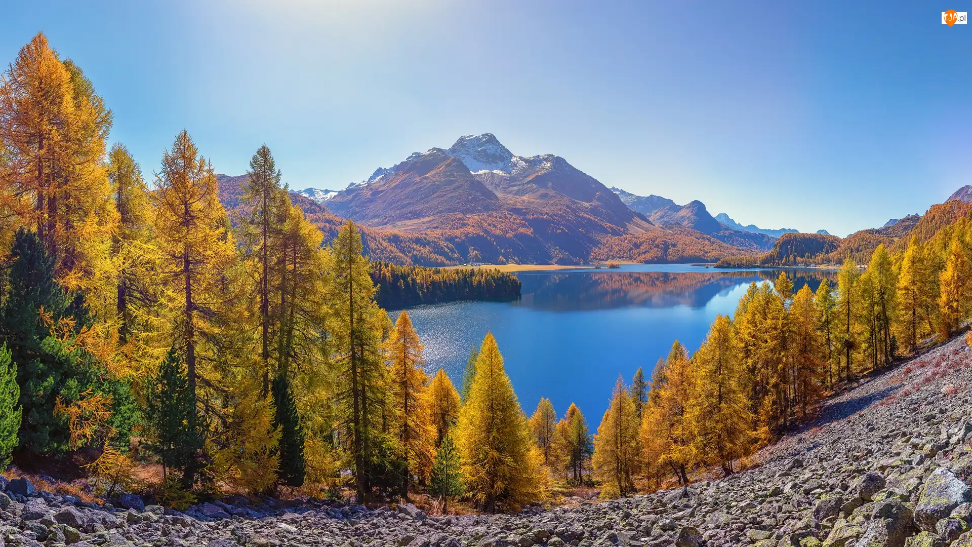 Szczyt Piz da la Margna, Góry Alpy, Dolina Engadyna, Kanton Gryzonia, Jesień, Jezioro Silsersee, Szwajcaria, Drzewa