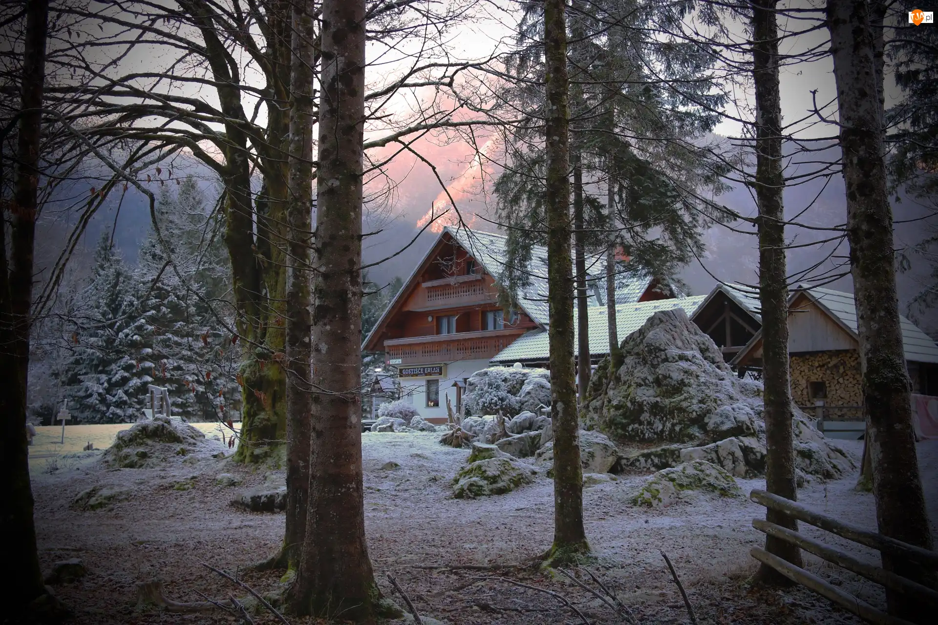 Drzewa, Zima, Domek gościnny Erlah, Krzewy, Słowenia, Gostišče Erlah, Śnieg, Bohinj