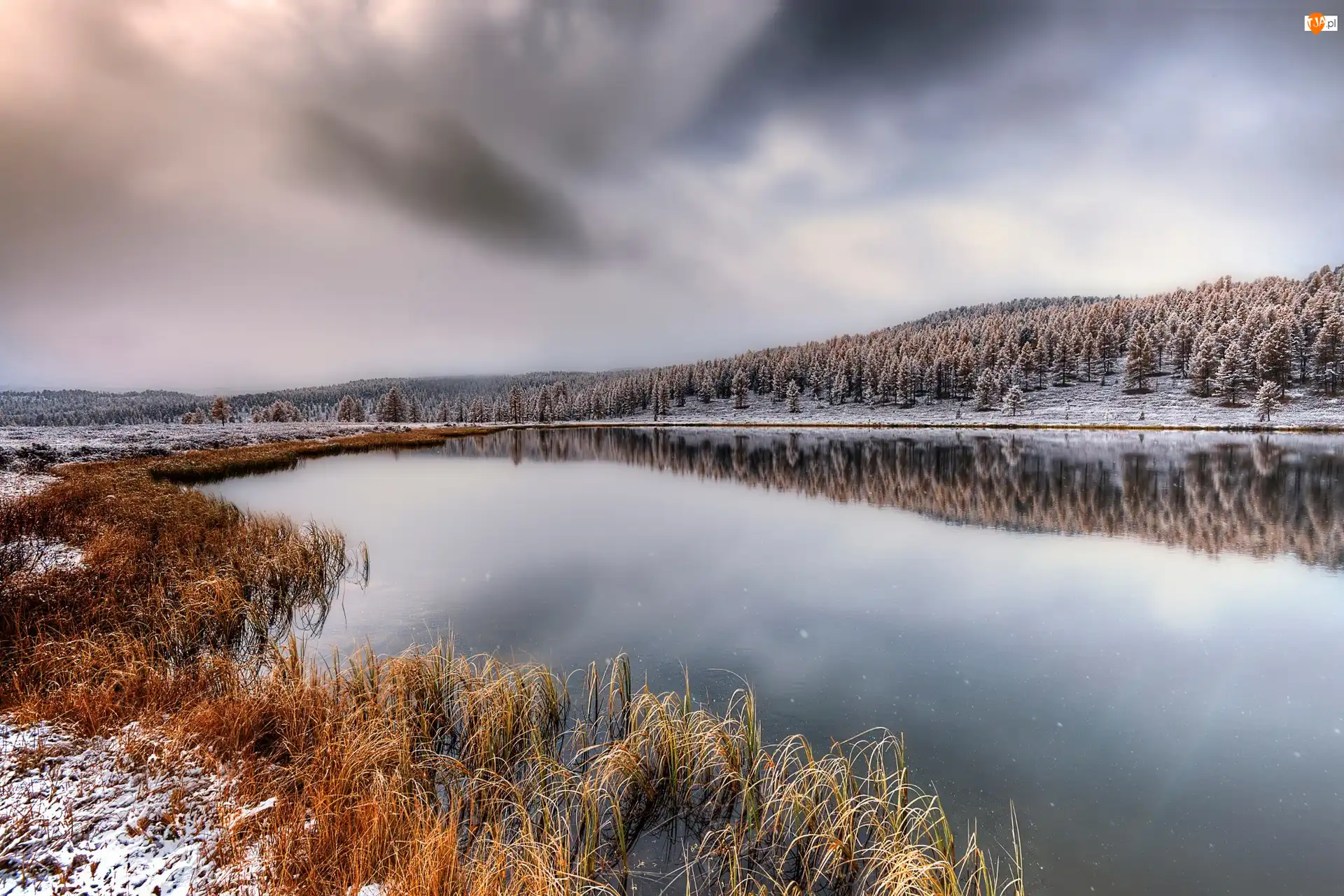 Śnieg, Zima, Jezioro, Trawy