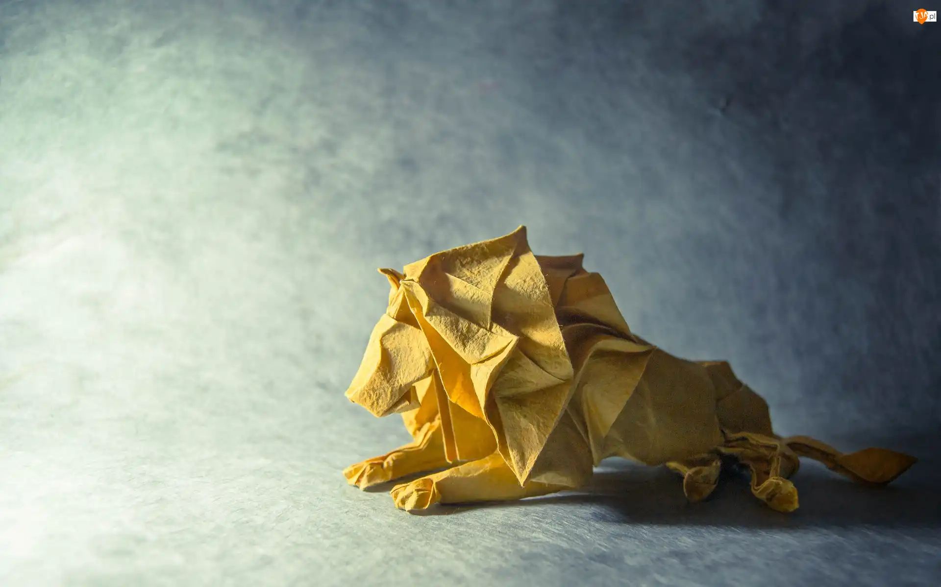 Światło, Origami, Lew