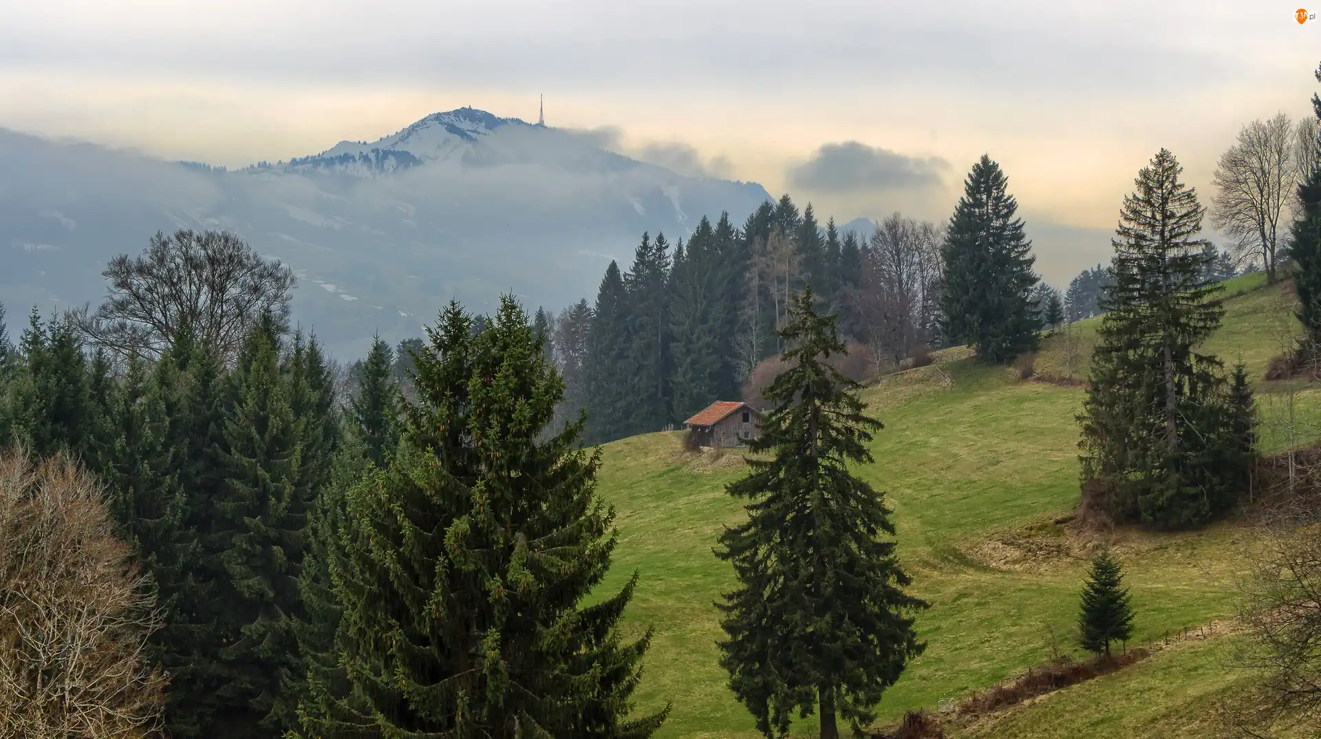 Drzewa, Wzgórze, Dom, Góry, Las