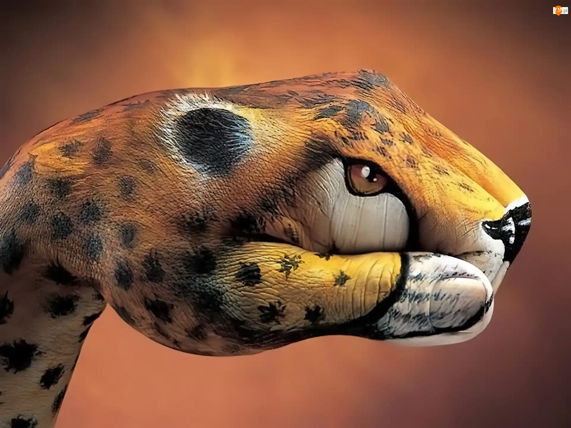 Bodypainting, Lampart, Dłoń