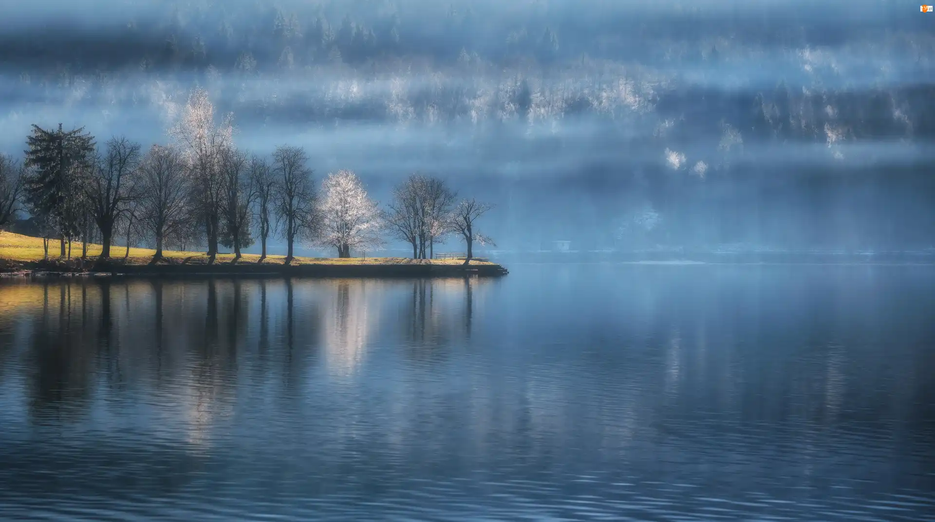 Drzewa, Słowenia, Mgła, Jezioro Bohinj, Triglavski Park Narodowy