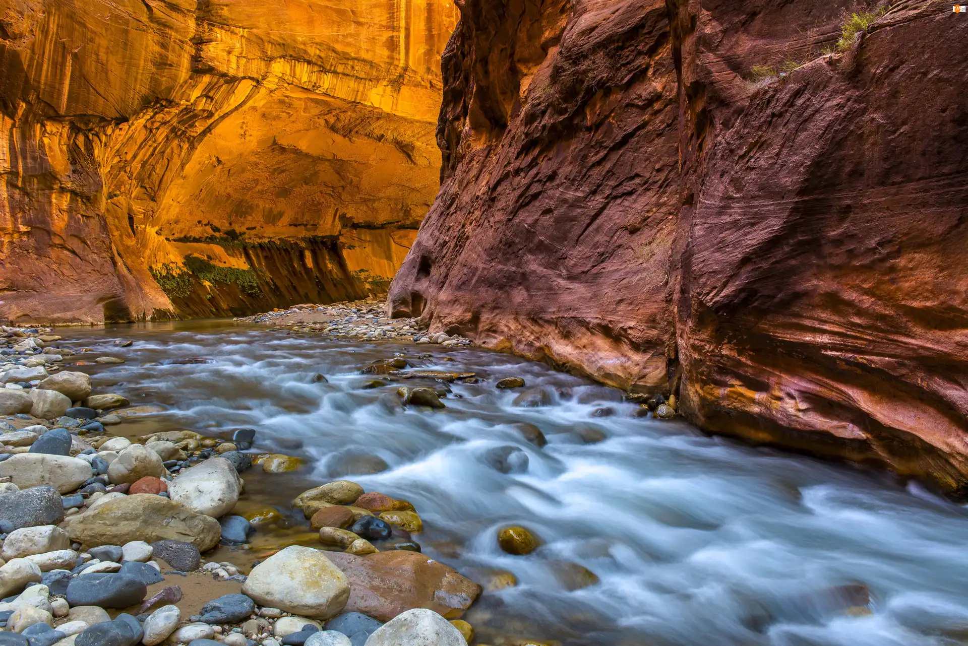 Stan Utah, Stany Zjednoczone, Kanion Zion Narrows, Rzeka Virgin River, Park Narodowy Zion, Skały