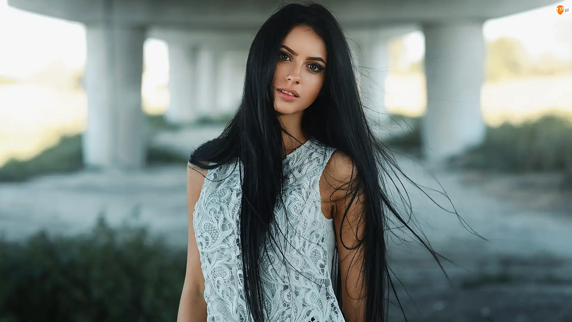 Włosy, Kobieta, Brunetka, Długie
