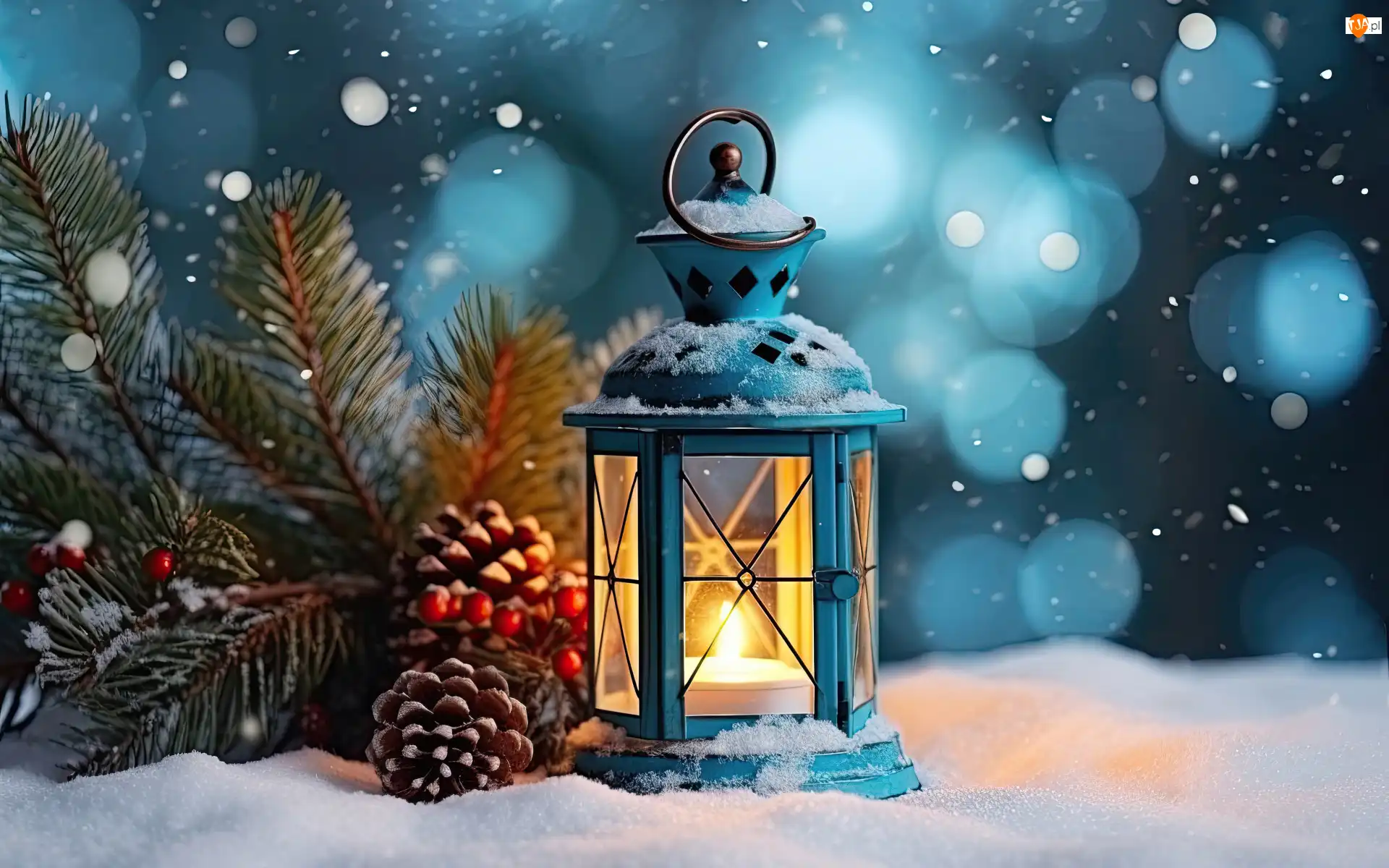 Lampion, Zima, Szyszki, Gałązki, Świerk, Śnieg