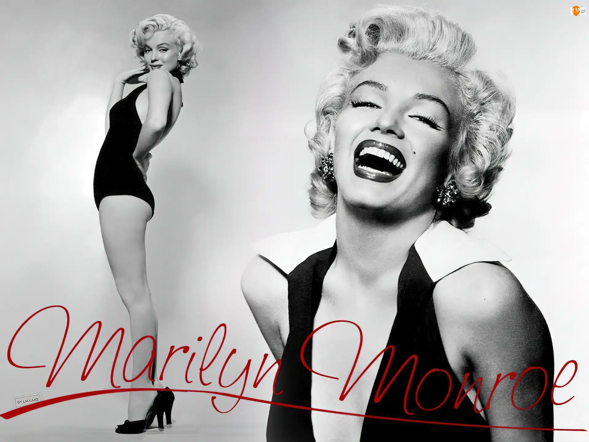 Autograf, Roześmiana, Marilyn Monroe