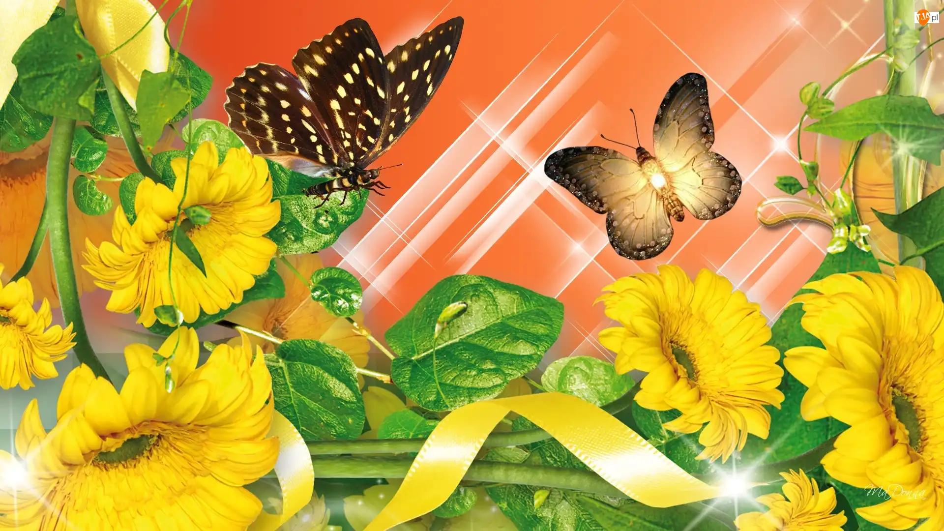 Motyle, Komputerowa, Kwiaty, Żółte, Grafika