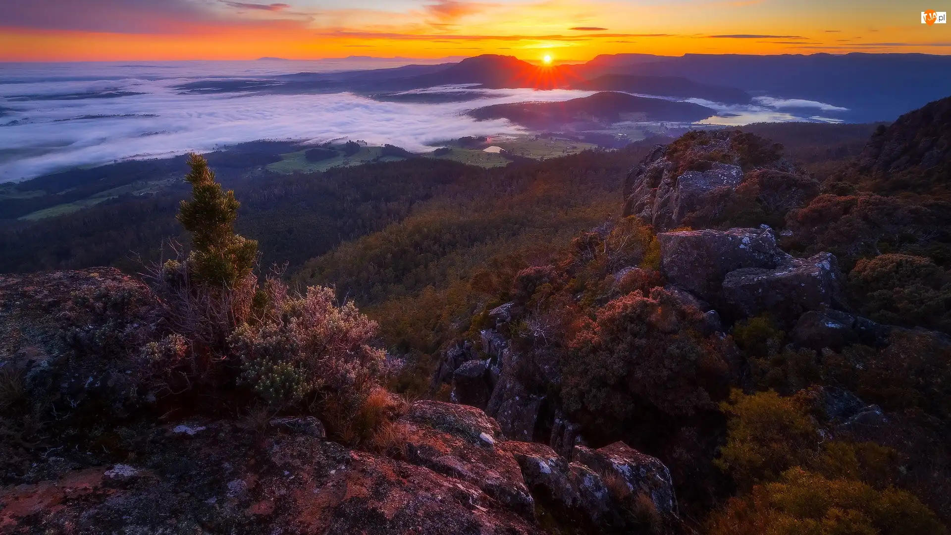 Opadająca, Góra, Meander Valley, Mother Cummings Peak, Skały, Tasmania, Mgła, Zachód słońca, Dolina, Drzewa, Australia