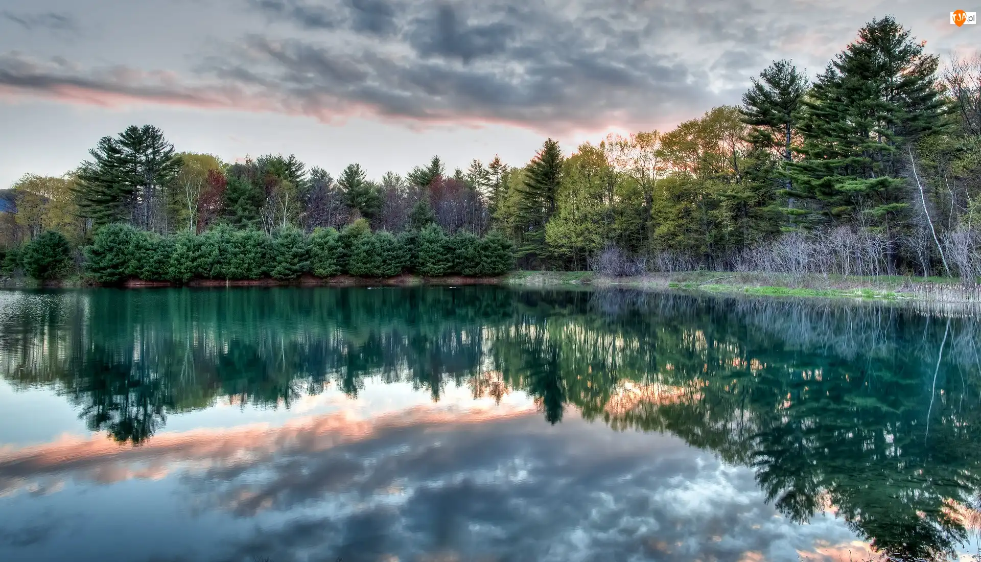 Bartlett, Staw, Chmury, Stan New Hampshire, Thorne Pond, Odbicie, Stany Zjednoczone, Drzewa