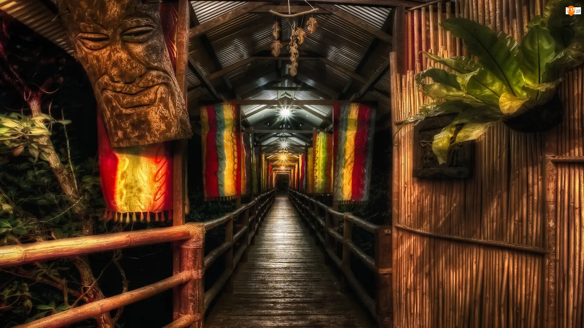 Wejście, Tiki, Bar