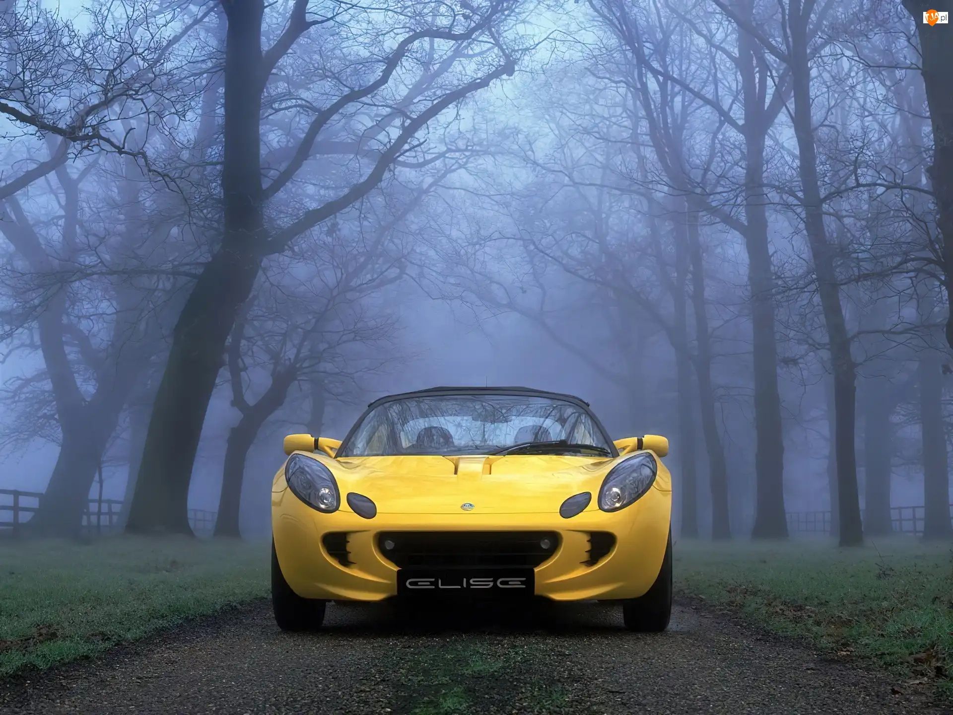 Przód, Żółty, Lotus Elise