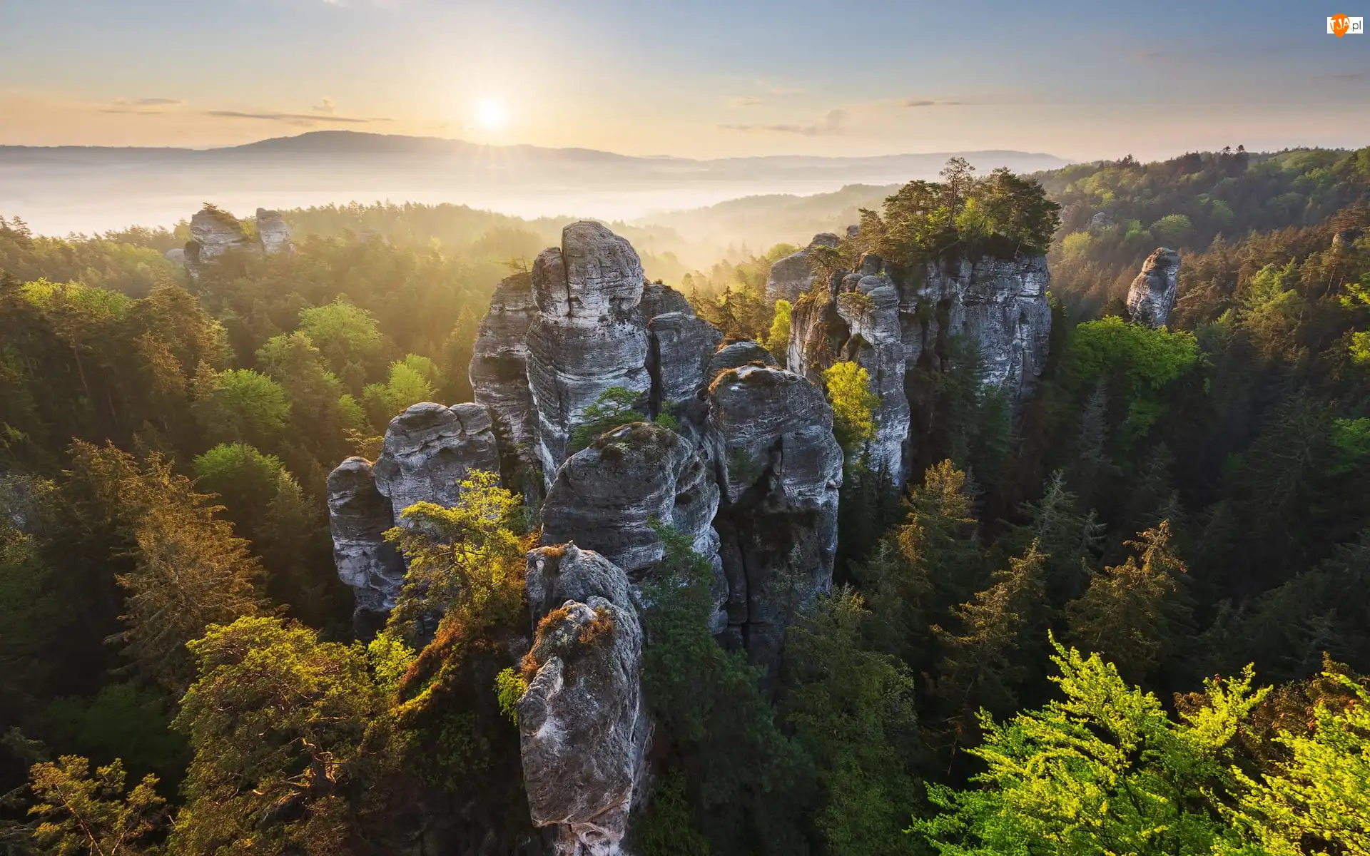 Skały, Góry Połabskie, Wschód słońca, Park Narodowy Saskiej Szwajcarii, Drzewa, Lasy, Niemcy