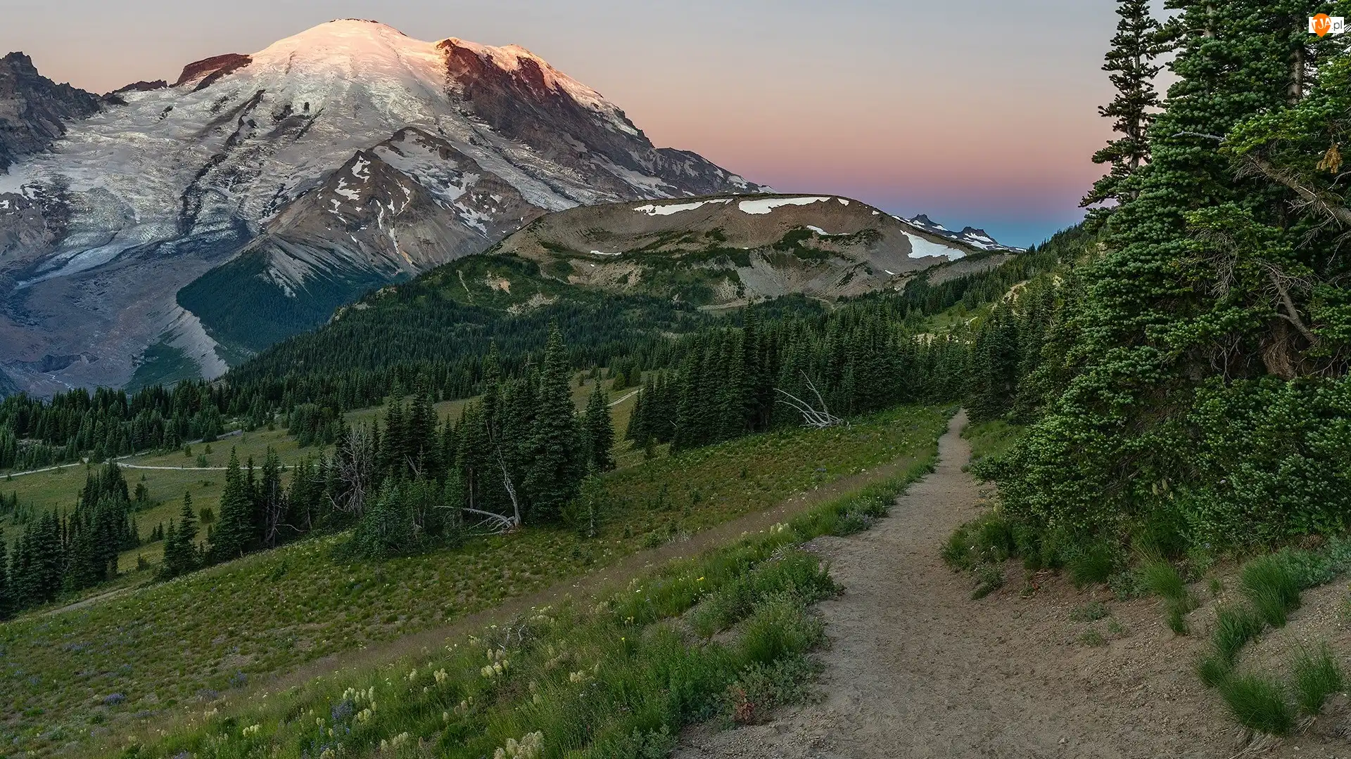 Stany Zjednoczone, Mount Rainier, Park Narodowy Mount Rainier, Stratowulkan, Góry, Wschód słońca, Droga, Śnieg, Drzewa, Stan Waszyngton