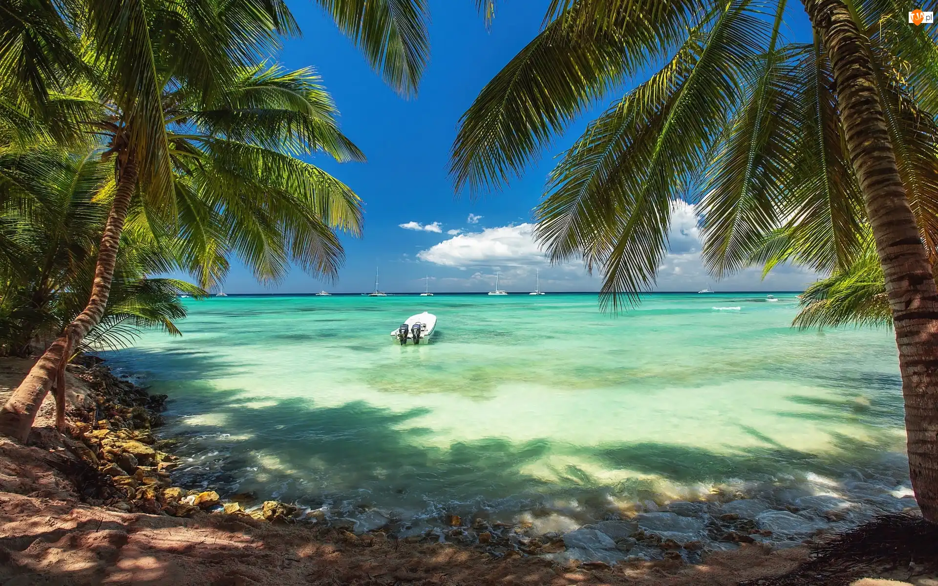 Dominikana, Punta Cana, Łodzie, Karaiby, Palmy, Morze, Plaża