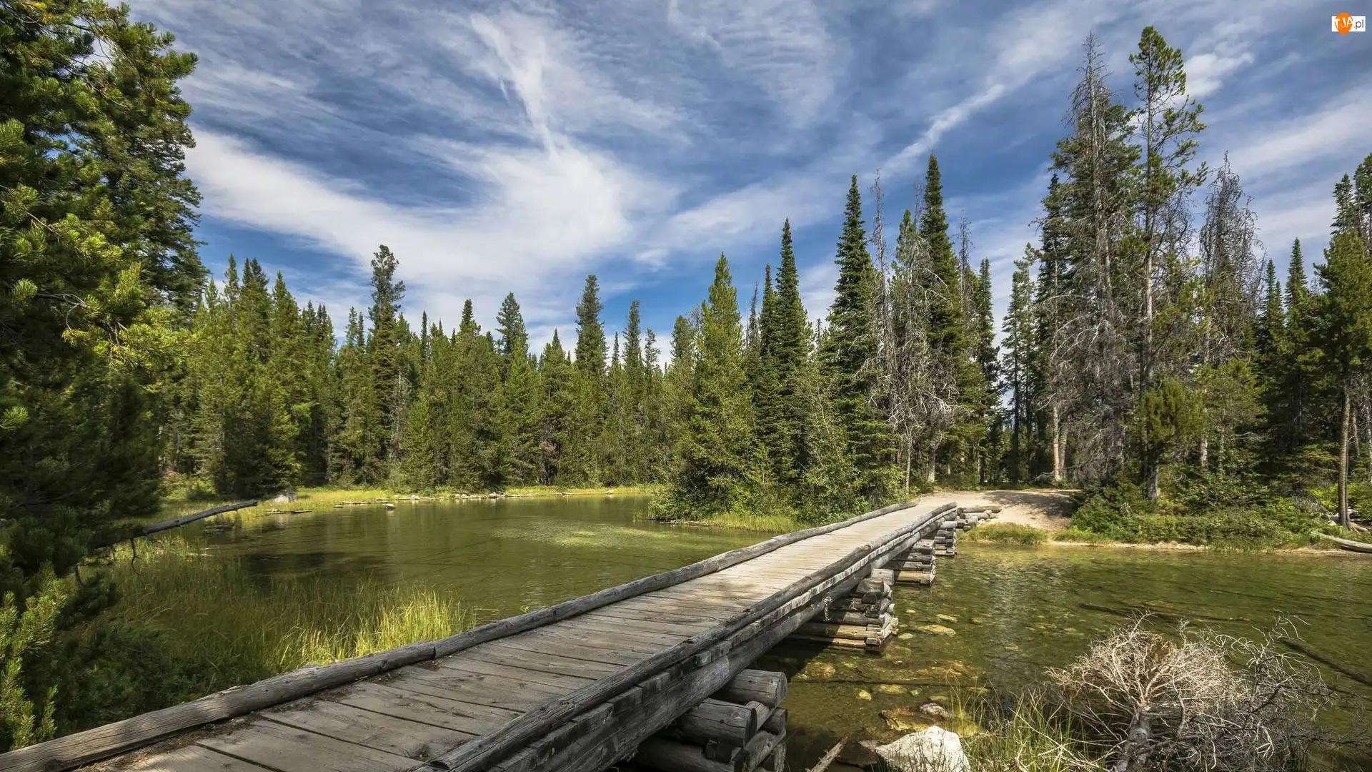 Drewniany, Park Narodowy Grand Teton, Jezioro, Most, Stan Wyoming, Drzewa, Chmury, Stany Zjednoczone
