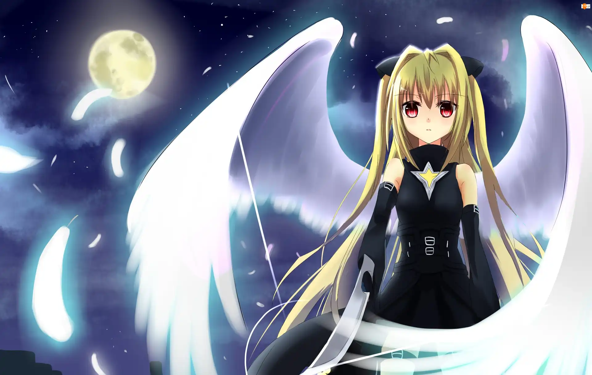 Dziewczyna, Yami, Anioł, To Love-Ru, Skrzydła, Manga anime
