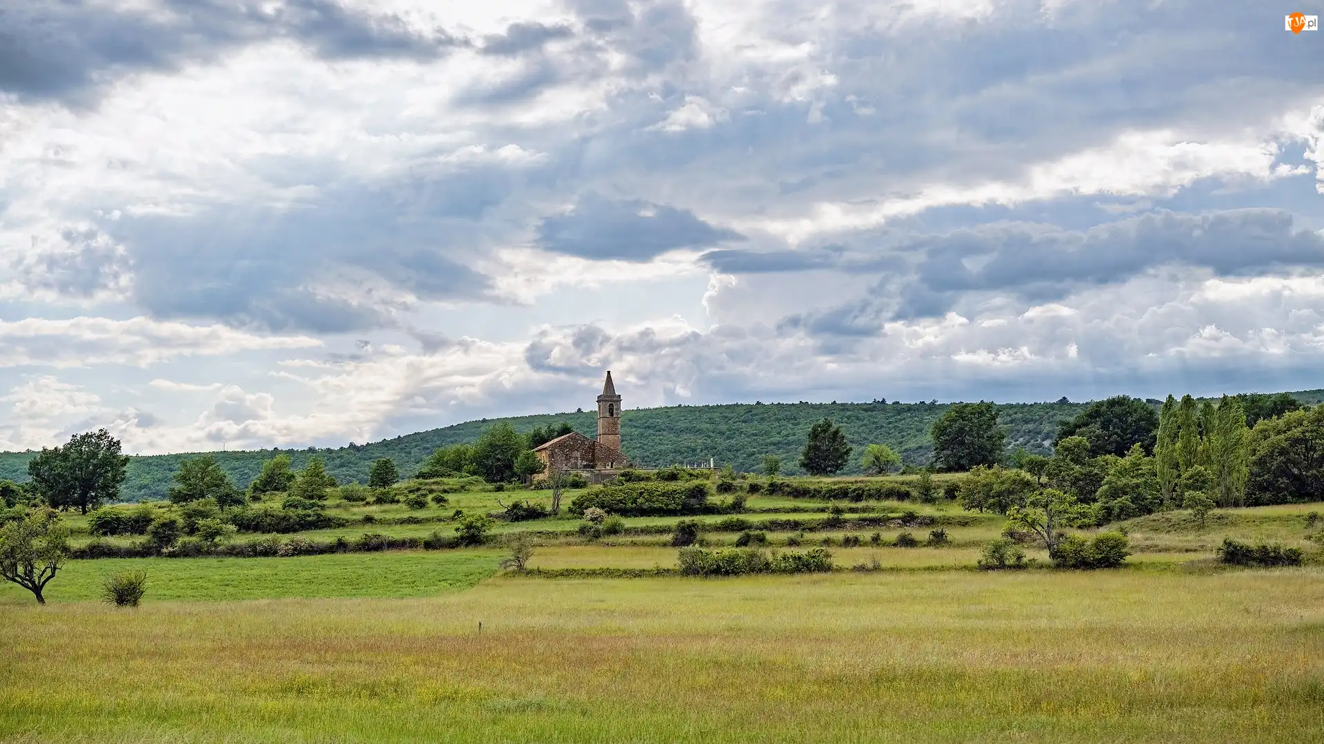 Drzewa, Łąka, Mane, Francja, Kościół, Prowansja