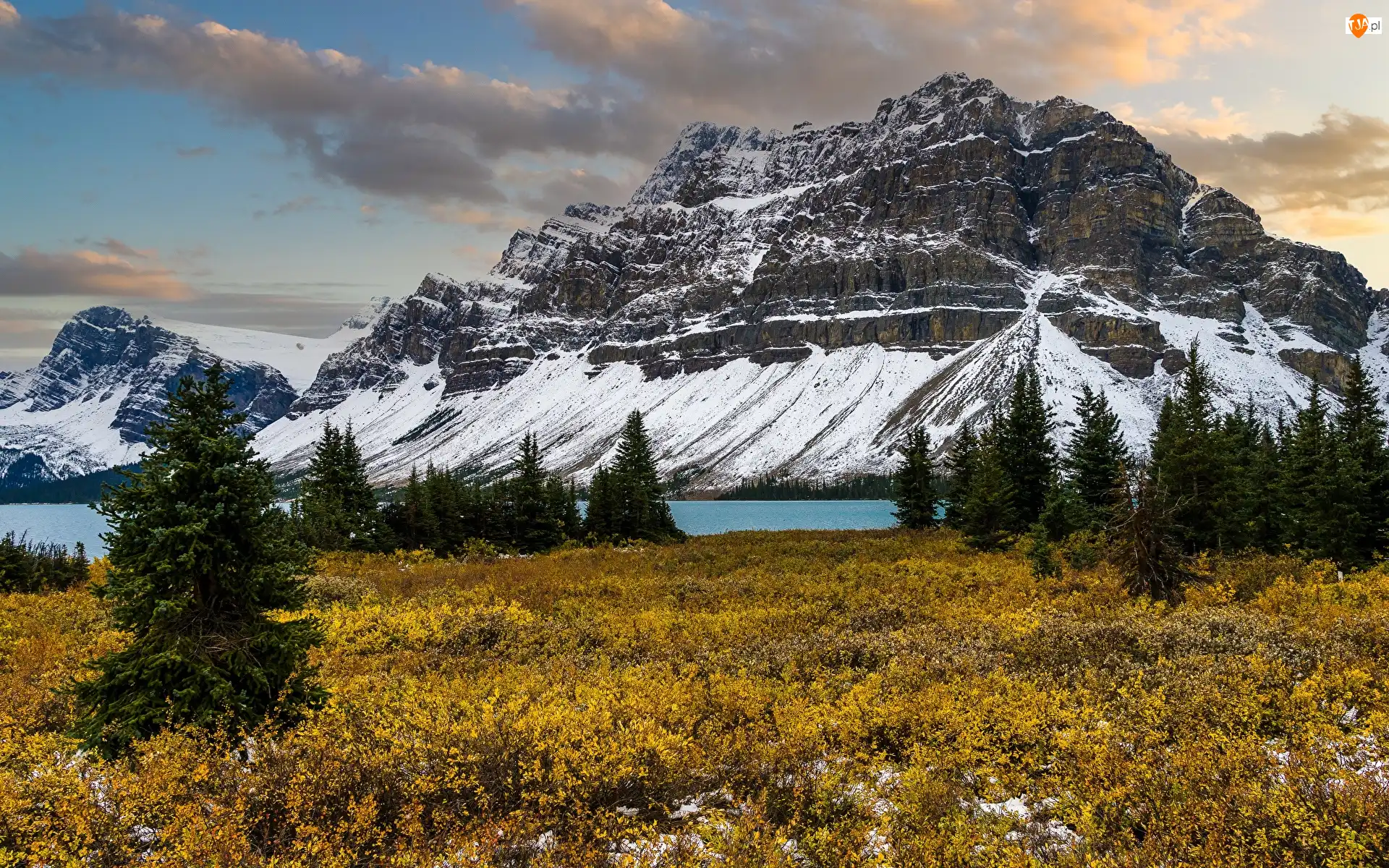 Bow Lake, Drzewa, Alberta, Świerki, Chmury, Park Narodowy Banff, Polana, Góry, Prowincja, Jezioro, Kanada