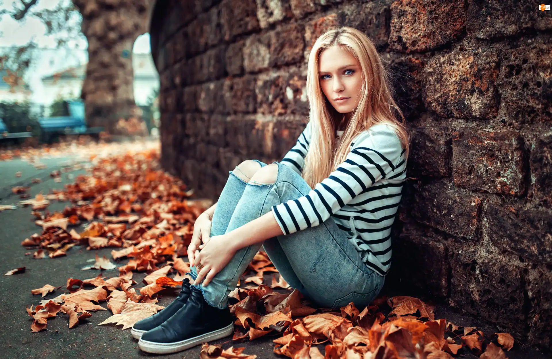 Liście, Dziewczyna, Mur, Alejka