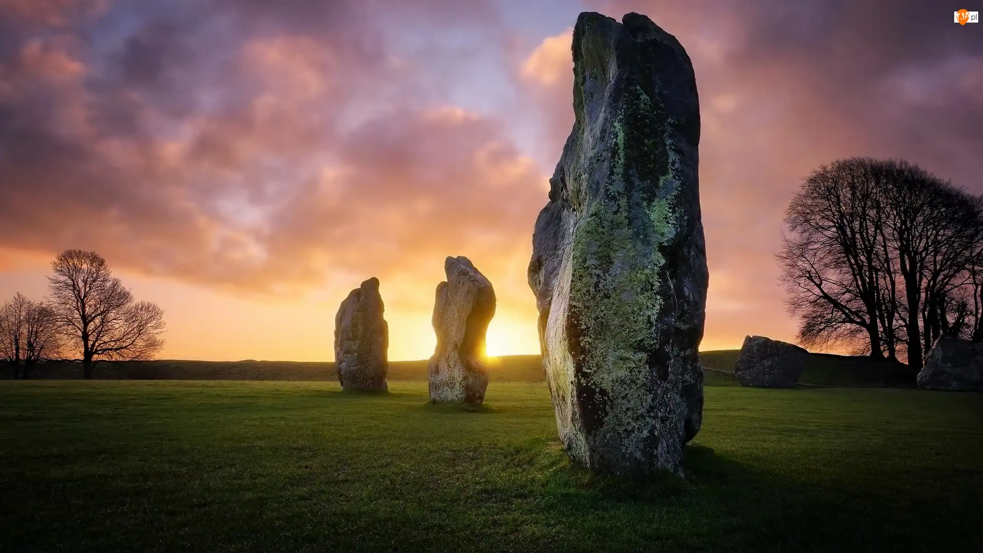 Drzewa, Hrabstwo Wiltshire, Wschód słońca, Skały, Głazy, Wieś Avebury, Głazy neolityczne, Anglia, Menhiry