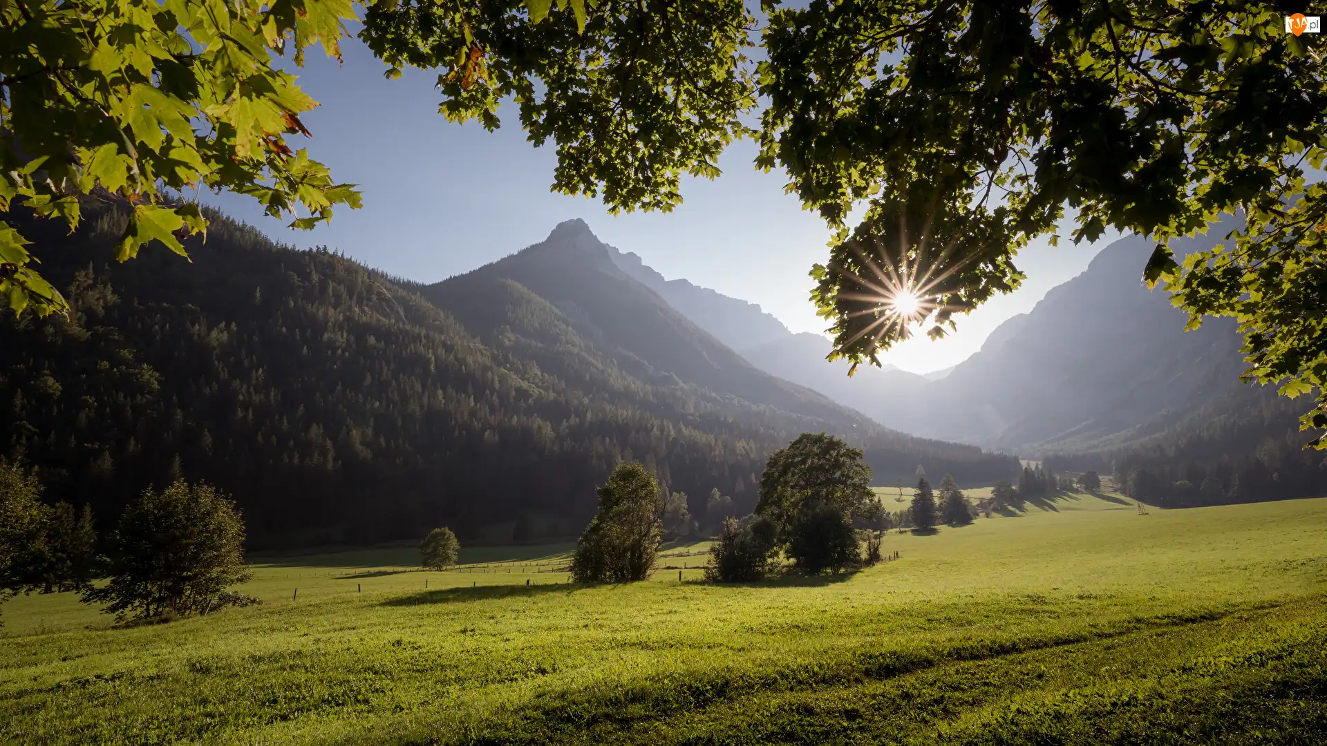 Polana, Austria, Hochschwabgruppe, Drzewa, Styria, Alpy wapienne, Promienie słońca, Góry