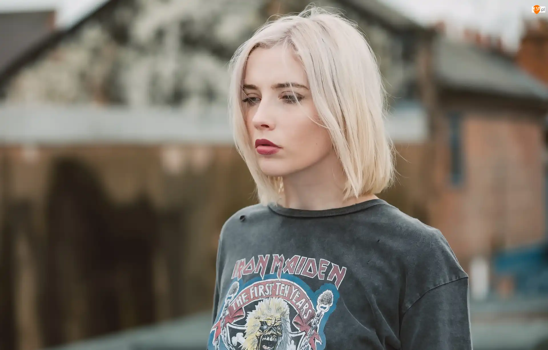 Blondynka, Kobieta, Kate Laura, Modelka