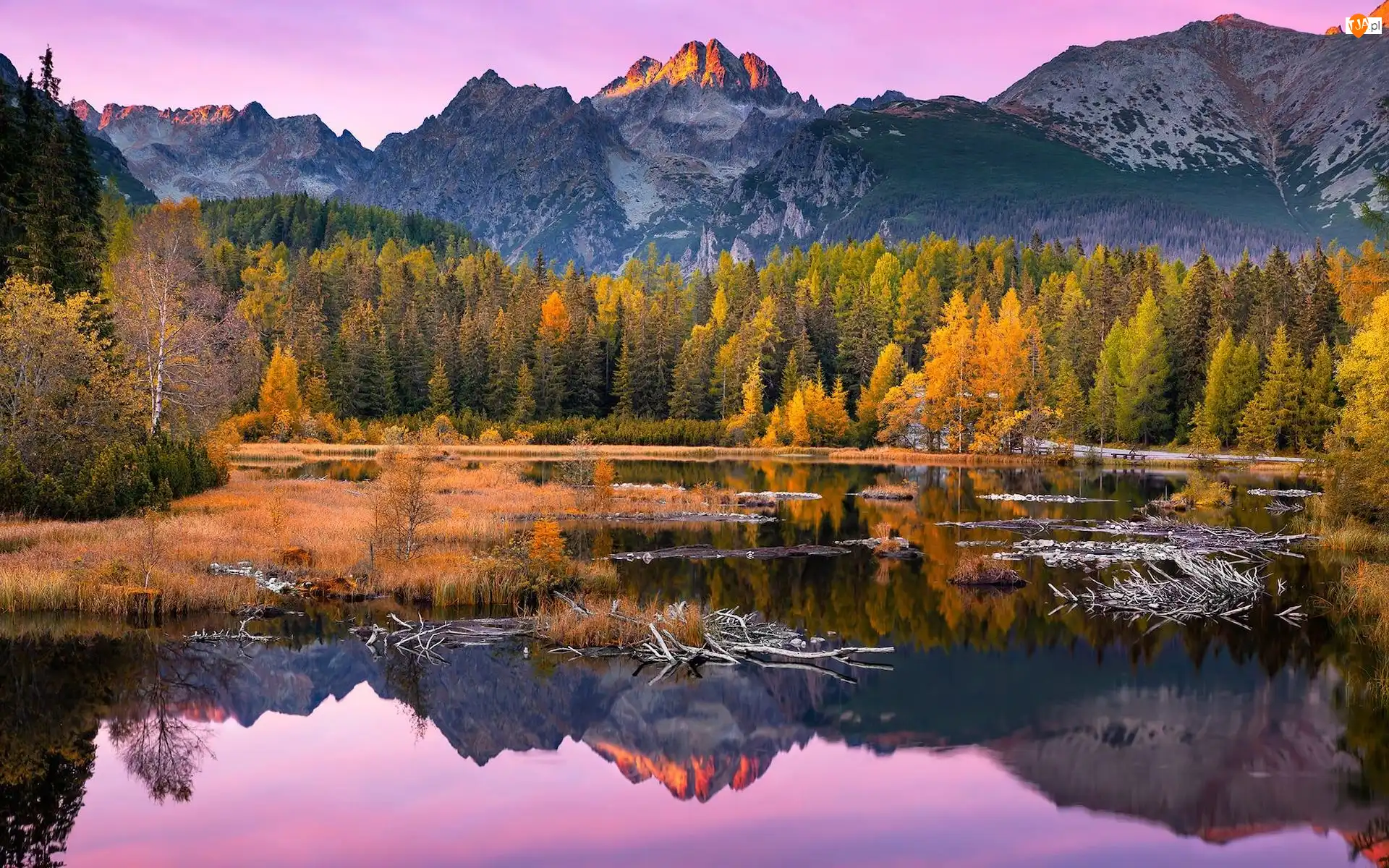 Góry, Tatry, Jezioro Szczyrbskie, Słowacja, Drzewa, Jesień, Jezioro