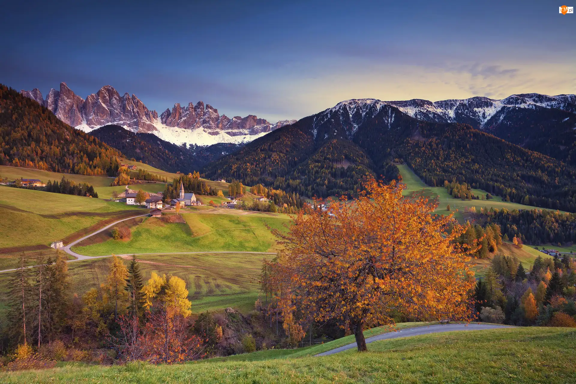 Kościół, Drzewa, Jesień, Lasy, Dolina Val di Funes, Włochy, Góry, Wieś Santa Maddalena, Dolomity, Domy