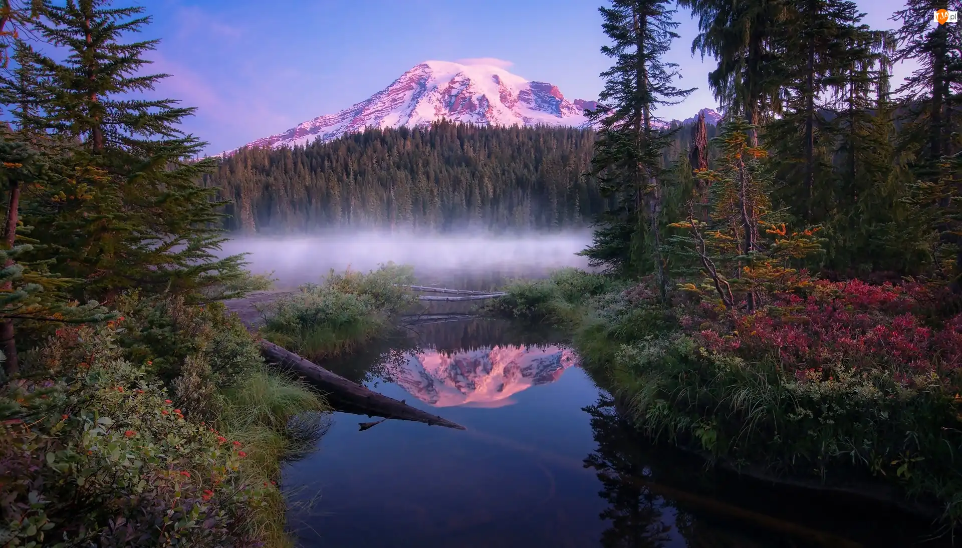 Mgła, Stan Waszyngton, Drzewa, Góra, Las, Park Narodowy Mount Rainier, Jezioro Reflection Lakes, Stany Zjednoczone, Szczyt Mount Rainier