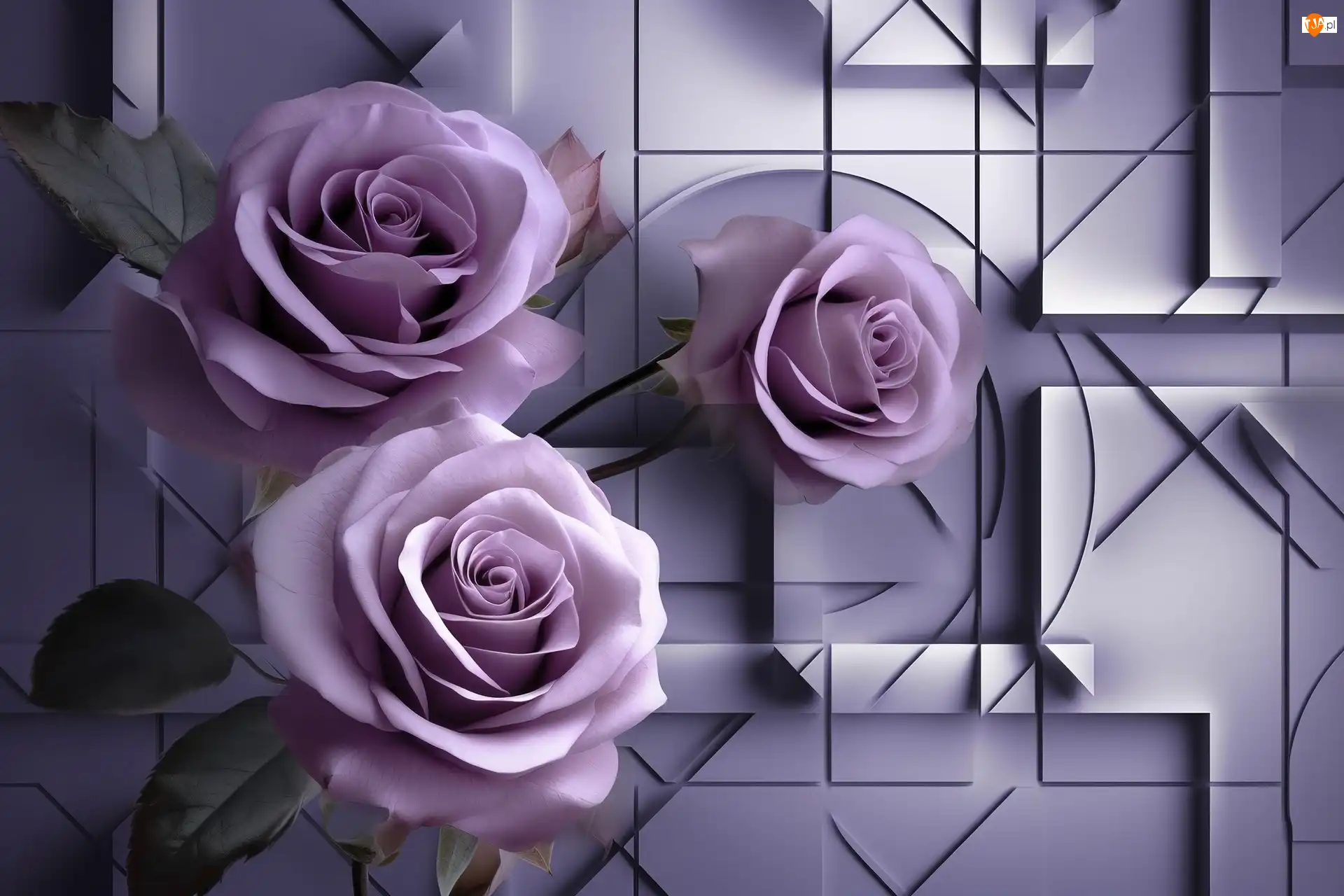 Grafika, Purpurowe, Kwiaty, Róże