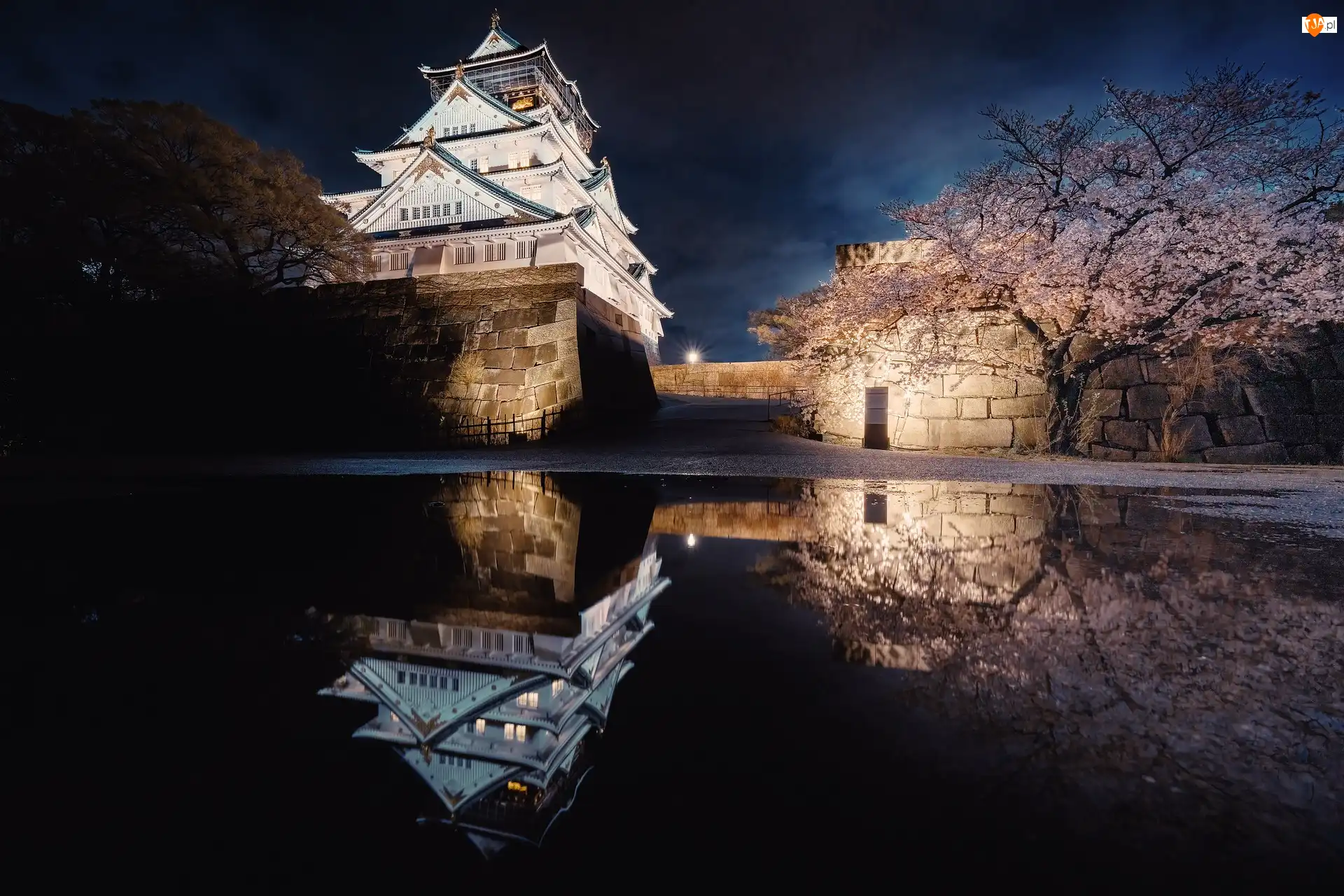 Zamek Osaka, Brokatowy Zamek, Japonia, Oświetlony, Miasto Osaka, Mur, Drzewo