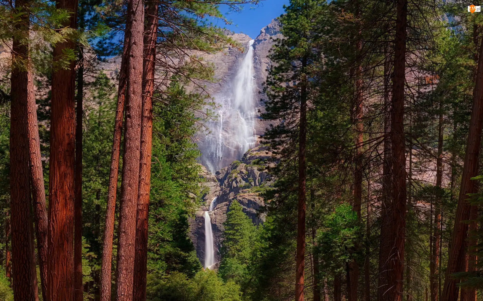 Drzewa, Stany Zjednoczone, Wodospad Upper Yosemite, Park Narodowy Yosemite, Kalifornia