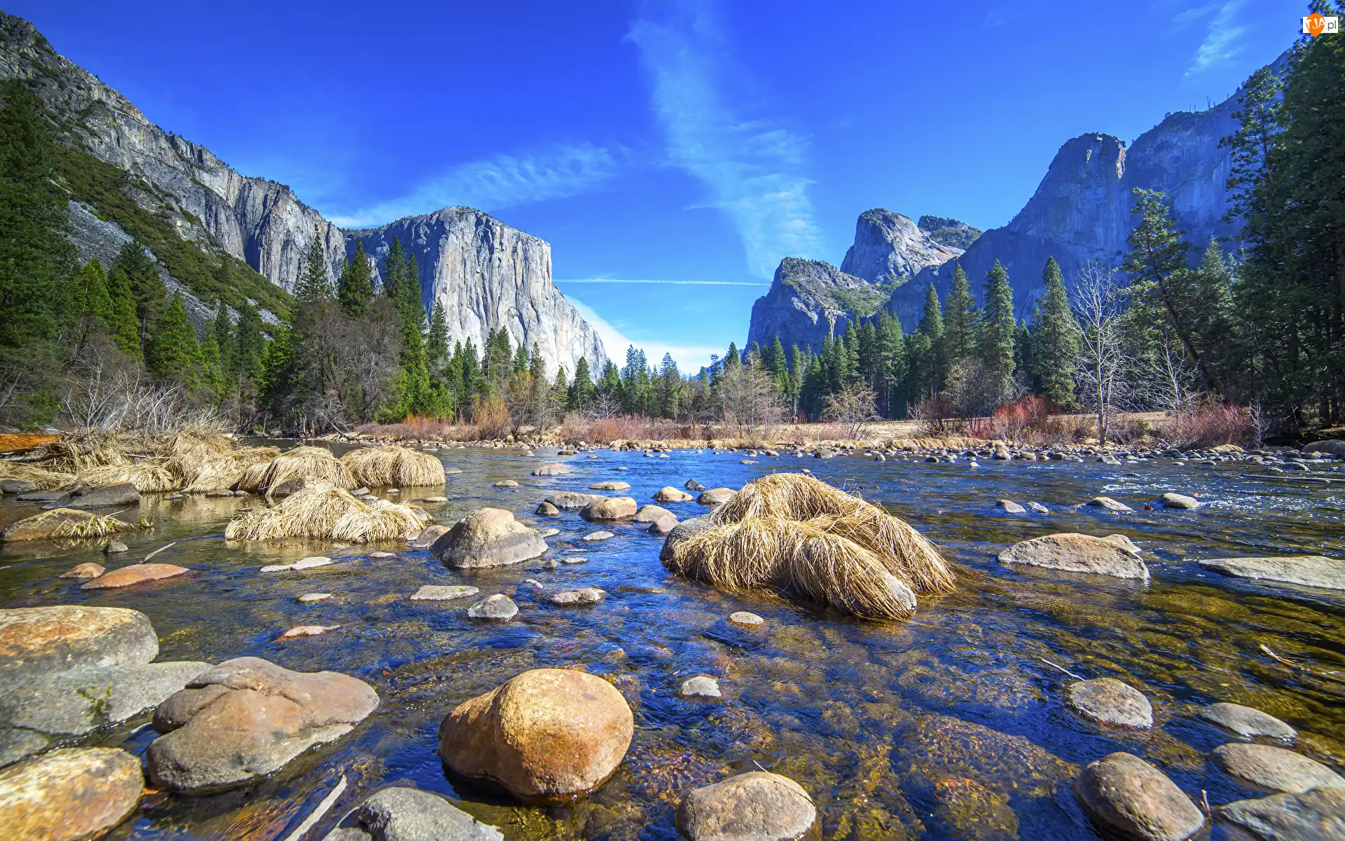 Drzewa, Park Narodowy Yosemite, Lasy, Kamienie, Góry, Stan Kalifornia, Rzeka, Stany Zjednoczone, Merced River