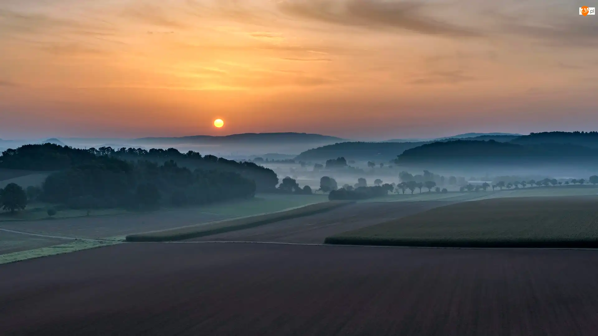 Dolina, Pola, Mgła, Góry, Drzewa, Wschód słońca