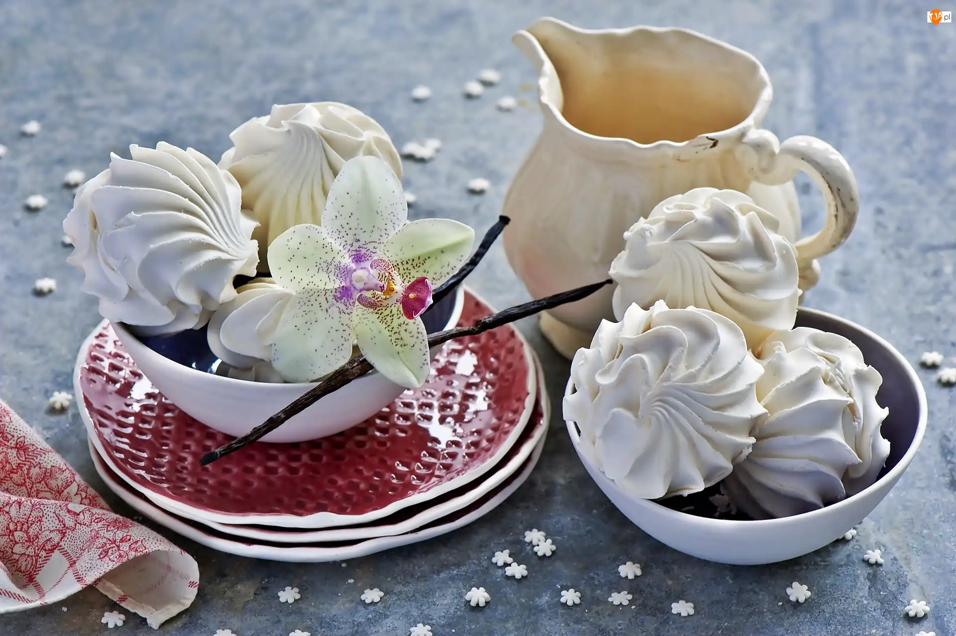 Porcelana, Bezy, Wanilia, Storczyk