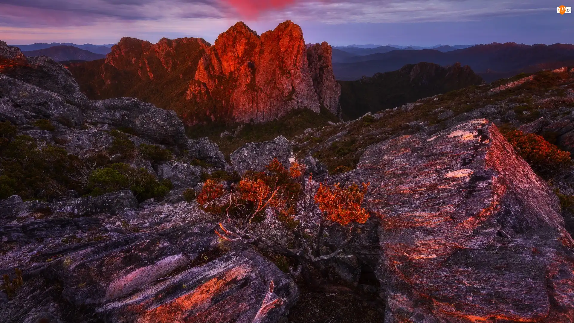 Arthur Range, Wschód słońca, Góry, Tasmania, Skały, Krzewy, Australia, Szczyty