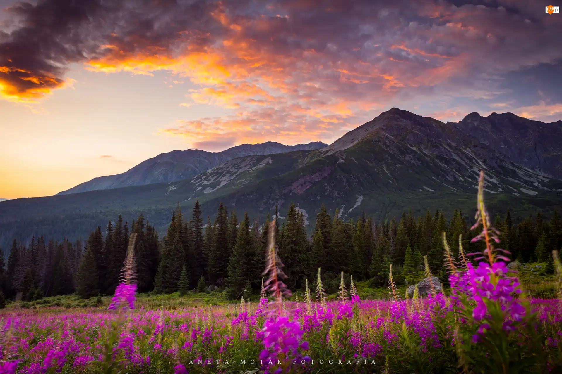 Polska, Zachód słońca, Góry, Tatry