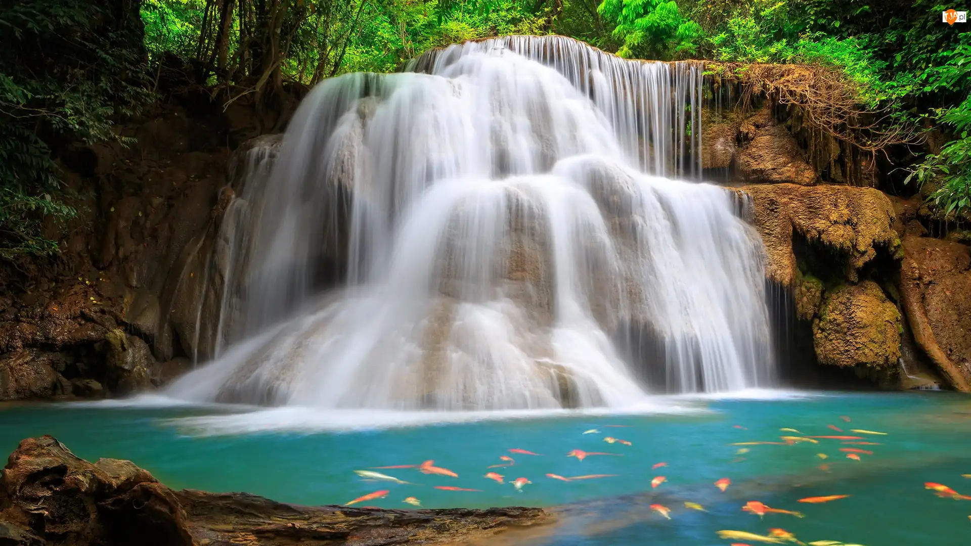 Huai Mae Khamin Waterfall, Rzeka, Tajlandia, Wodospad, Kanchanaburi, Skały, Ryby