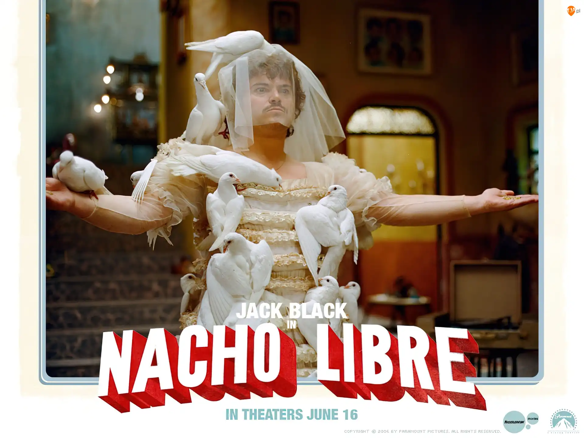 pokój, gołębie, Jack Black, Nacho Libre, welon