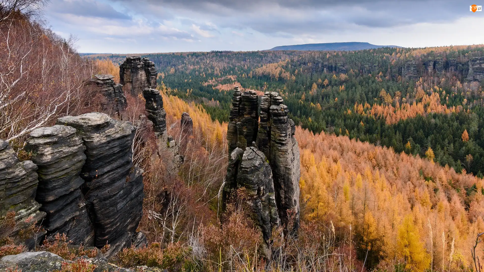 Drzewa, Formacje, Las, Jesień, Skały