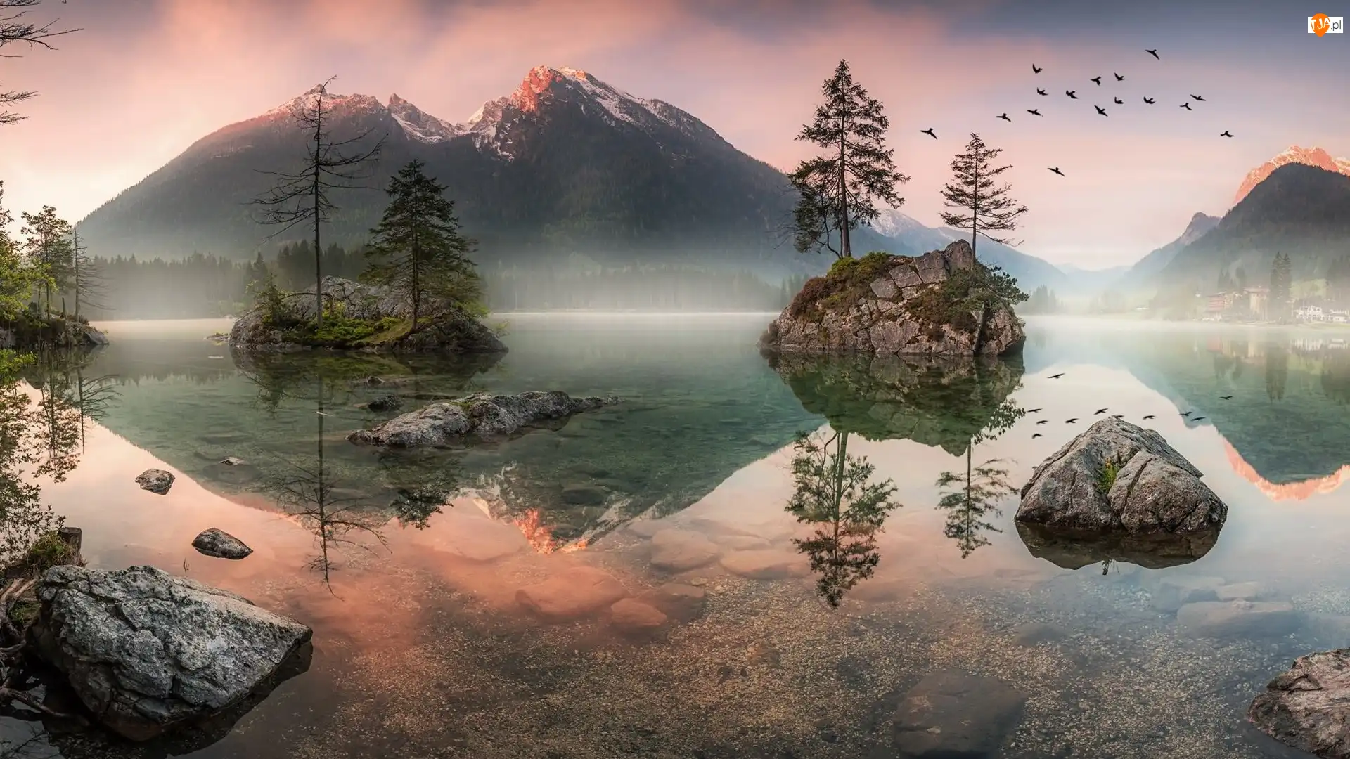 Ptaki, Jezioro Hintersee, Góry Alpy, Bawaria, Skały, Mgła, Niemcy, Drzewa