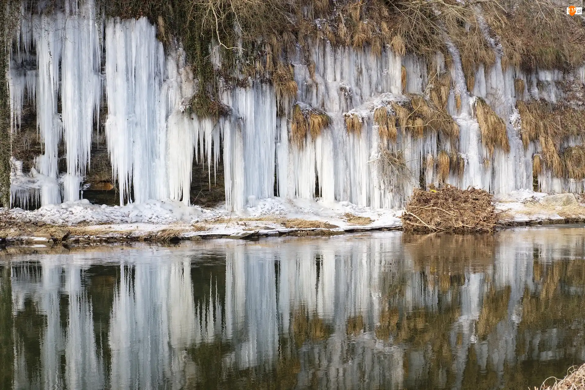 Trawy, Rzeka, Sople, Zima, Rośliny