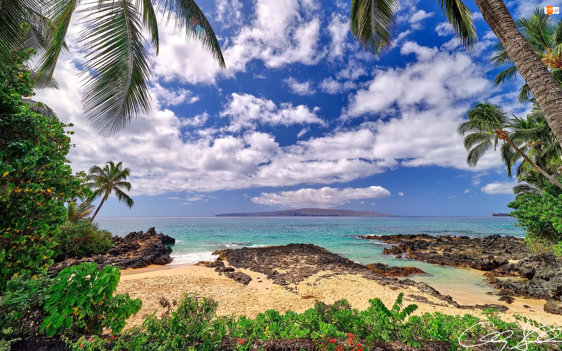 Wyspa Maui, Morze, Chmury, Hawaje, Plaża, Palmy, Roślinność