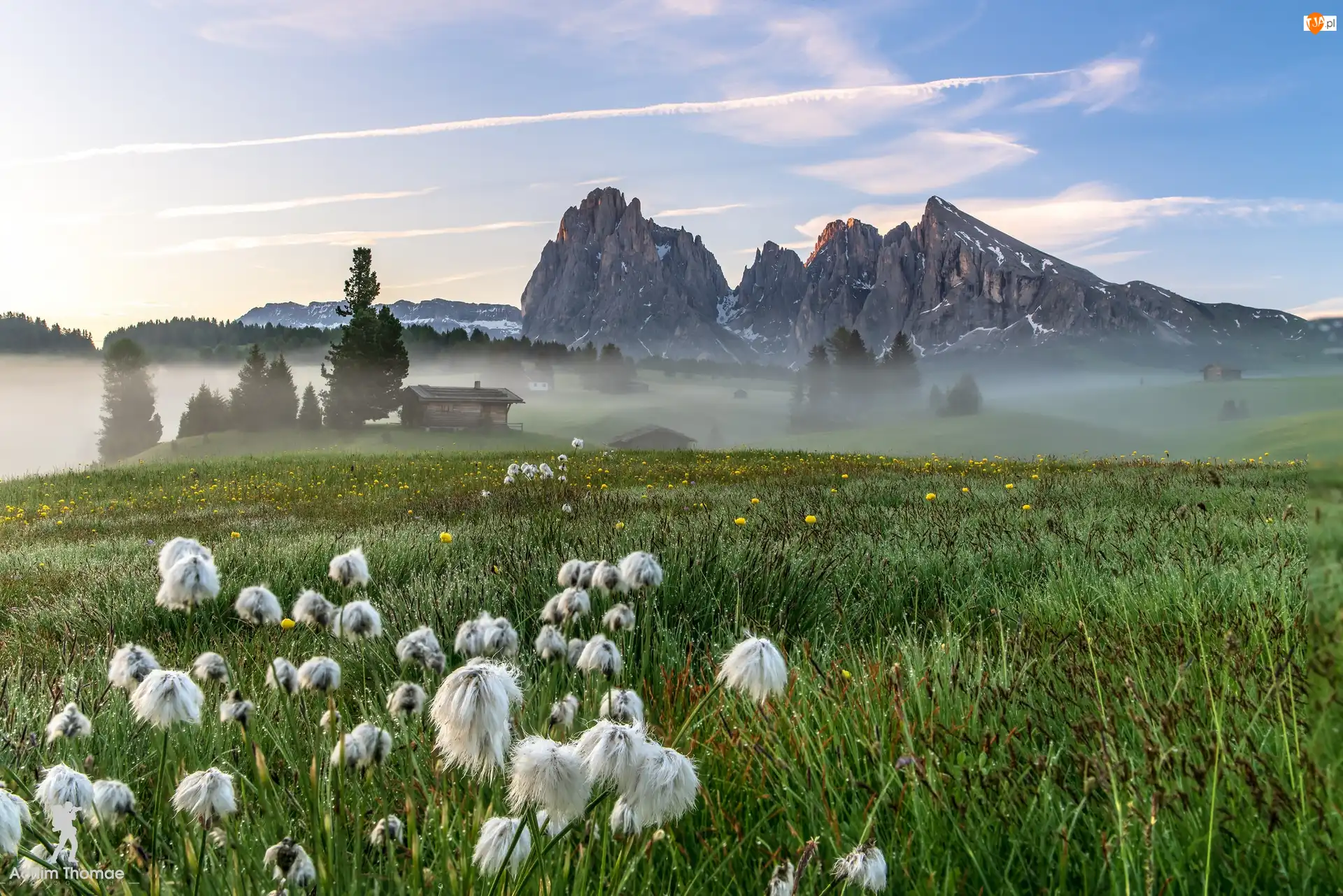 Włochy, Kwiaty, Dolomity, Dolina Val Gardena, Góry Sassolungo, Domy, Mgła, Łąka, Płaskowyż Seiser Alm